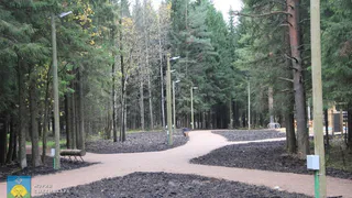 В Коми к концу 2023 года благоустроят более тысячи территорий