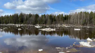 Житель Коми заплатит штраф за незаконную рыбалку