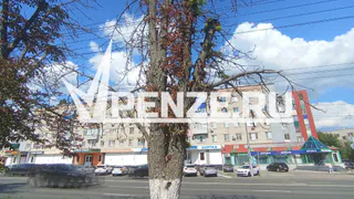 Березы на ул. Кронштадтской попали под пилы: зачем?