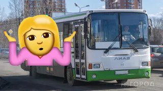 "На линии двух автобусов нет, третий опоздал":  рязанцы снова жалуются на 20 автобусы