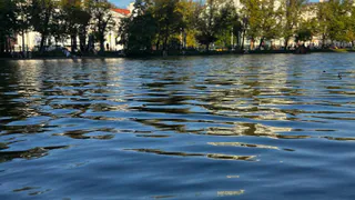 "Слезы на глазах от вони": Абхазия оставила неприятный осадок отдыхающим