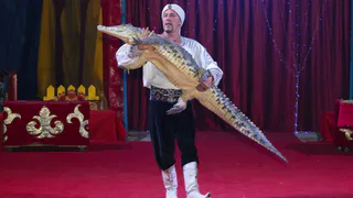 Цирк-шапито, который не пустили в Нижнекамск, приехал Челны