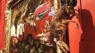 Выставка с мертвыми животными в Эрмитаже вызвала множество скандалов