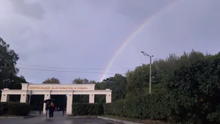 Тропинки или туалеты: в Рязани стартовало электронное голосование о благоустройстве парка ЦПКиО