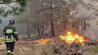 В Рязанской области увеличилась площадь пожара до 105 га за сутки
