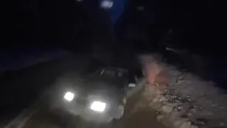 Жители Гусь‑Хрустального района вынуждены сами расчищать дороги от упавших деревьев