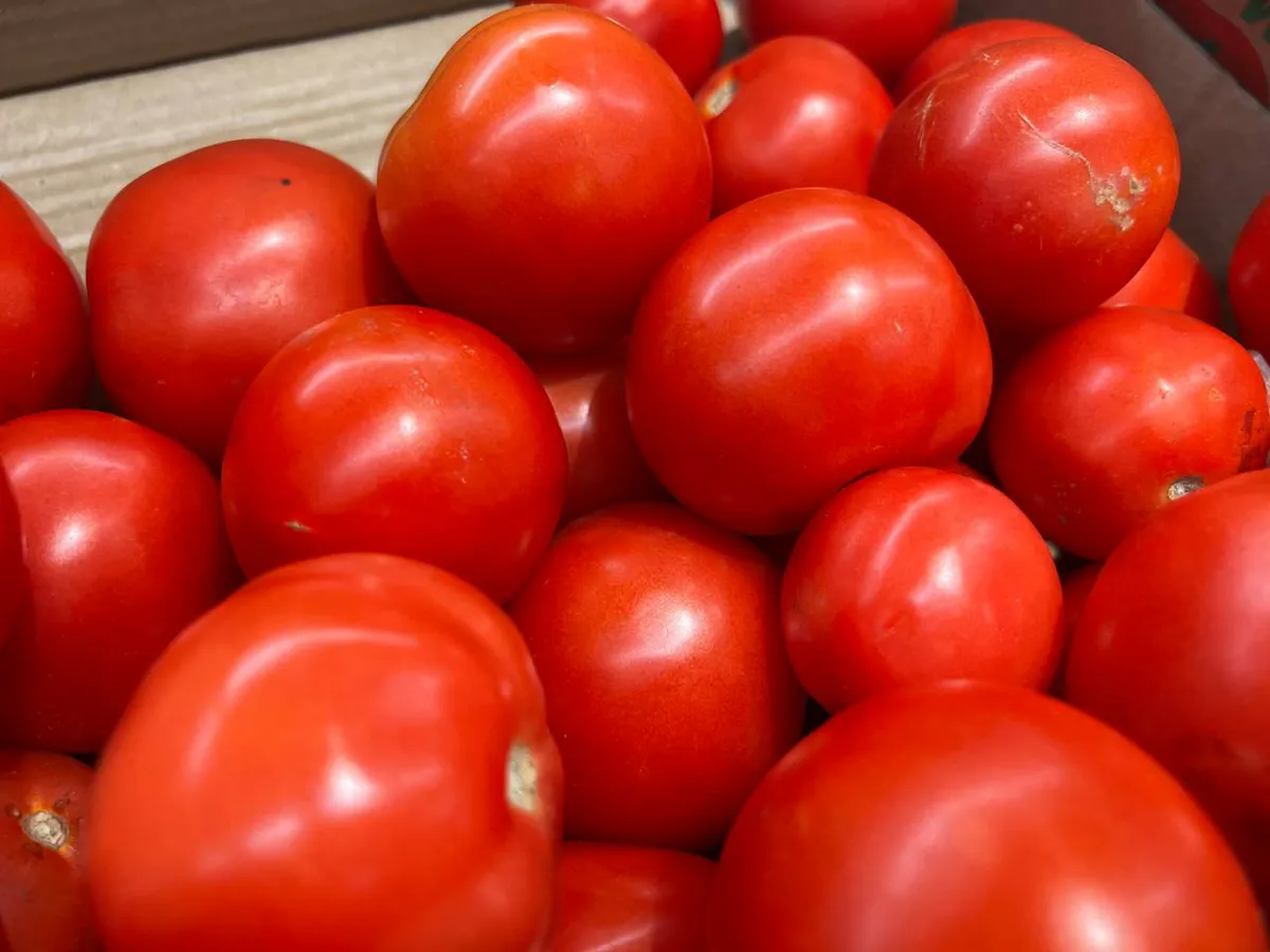 Сажаю помидоры так — и не подкармливаю всё лето: лайфхак от опытной огородницы Галины Кизимы