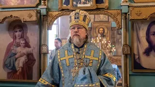 Рязанский митрополит Марк назвал причину крестить детей