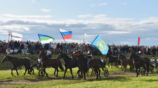 Ижемские конные гонки собрали 20 лучших наездников Коми