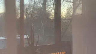 Мороз и солнце: какая погода ждет рязанцев на этой неделе