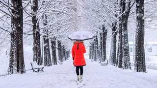 Март будет капризным: синоптики представили новый неутешительный прогноз погоды на первый весенний месяц