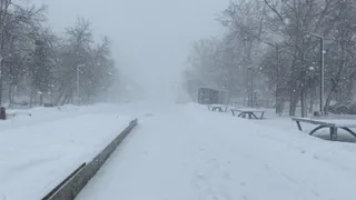 В 7 районах Рязанской области прогнозируются снегопады