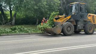 Магнитогорск даже в дожди следит за покосом травы в городе