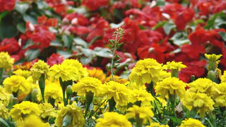 В Челябинской области ожидается переменная облачность и температура до +18 градусов