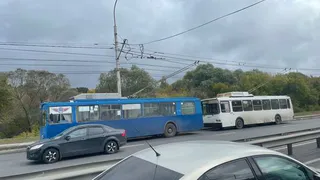 Троллейбусы встали на Московском шоссе 26 сентября