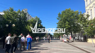 Стало известно, в каком возрасте чаще всего разводятся пензенцы