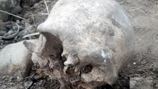 Жуткая находка: в Пронске во время земляных работ нашли человеческий череп