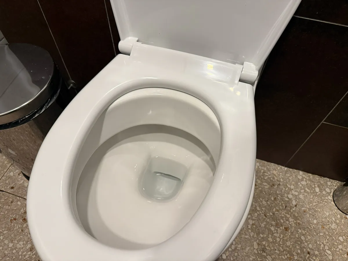 Умные хозяйки кладут кирпич в унитаз: Научила советская бабушка - вот в чём заключается хитрость