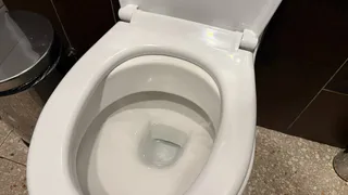 После одного случая всегда опускаю крышку унитаза и всем советую: почему нельзя оставлять открытым