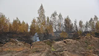 В Рязанской области с 9 сентября отменен режим ЧС из-за пожаров