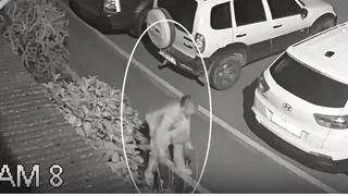 И коня на скаку, и дерево с корнем: рязанка украла со двора две туи и ушла как ни в чем не бывало