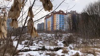 9 ноября в Рязанской области ожидается гололедица и до +8