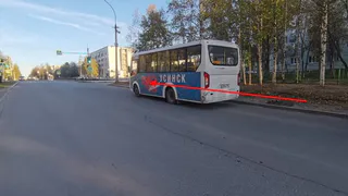 В Коми из-за резкого торможения автобуса пострадала 75-летняя женщина