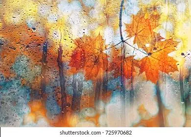 Погода резко перейдет из июля в октябрь