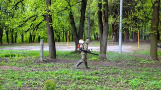 19 мая рязанские парки начнут обрабатывать от клещей