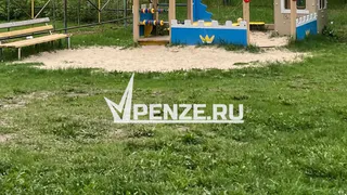 Пензенские подростки подожгли тополиный пух на ул. Захарова