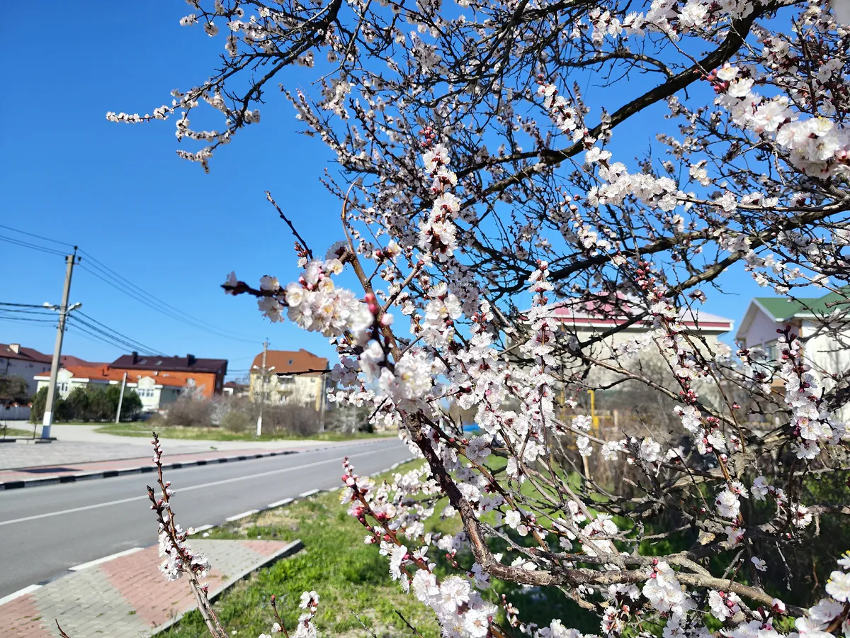 Теплый антициклон на Южном Урале: какая погода ждет Челябинскую область и Магнитогорск 2 апреля