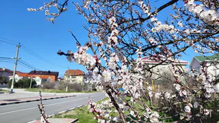 Теплый антициклон на Южном Урале: какая погода ждет Челябинскую область и Магнитогорск 2 апреля
