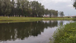 В Рязани начали обрабатывать водоемы от комаров