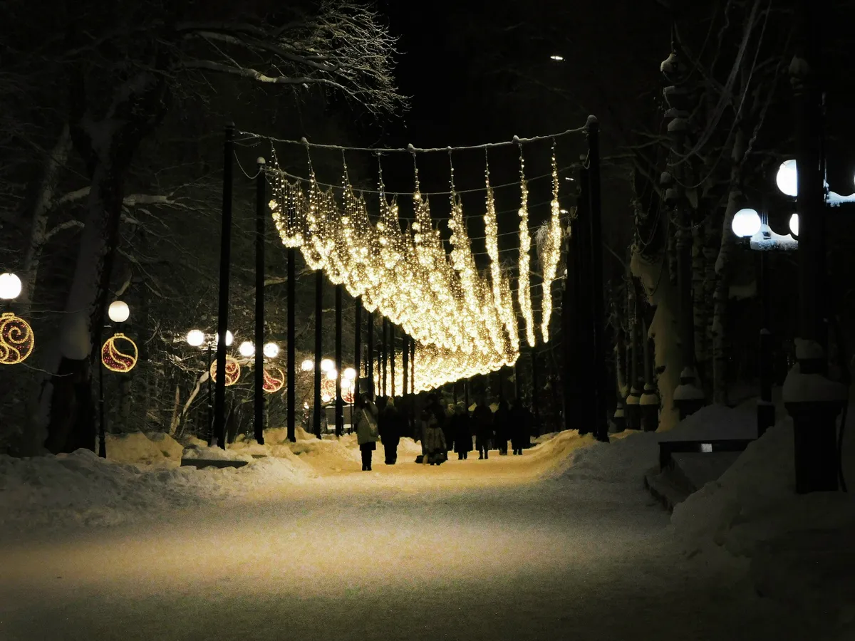 Чувашию ожидает снежная неделя: прогноз погоды на 6 и 7 января