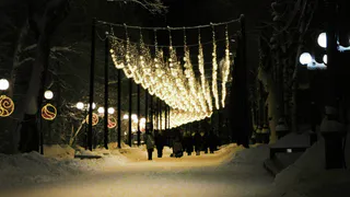 Чувашию ожидает снежная неделя: прогноз погоды на 6 и 7 января