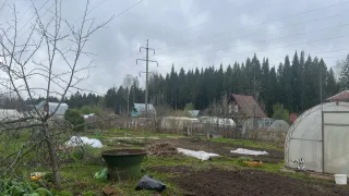 Россиян оставляют без "второго хлеба": за посадку картофеля на даче будут штрафовать