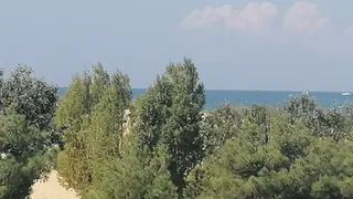 Я была поражена такой наглости: честный отзыв российской туристки об отдыхе в Абхазии