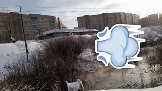 Экология в опасности: мэрия осмотрит овраг в дендропарке, куда сливают нечистоты