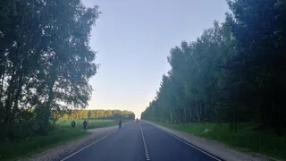 На трассе в Касимовском районе водитель Haval сбил девочку 12 лет