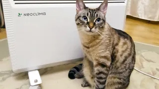 Нижнекамск переходит на зимний режим: тепло подано в 789 многоквартирных домах