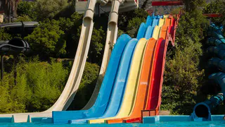 Директор тульской школы обвинила аквапарк Рязани в смерти ребенка