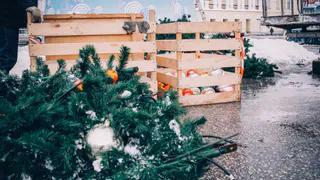 Где купить Новогоднюю ёлку в Рязани? Интерактивная карта точек продаж