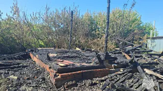 В Рязанской области огонь уничтожил заброшенный дом