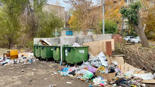 Октябрьский районный суд Владимира потребовал установить контейнерную площадку