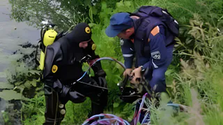 В рязанском пруду обнаружили труп 48-летнего мужчины