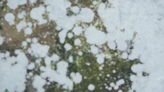 Прогноз синоптиков: когда ждать наступления весны в Рязани