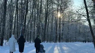 В Рязанской области вновь открыли лыжную трассу комплекса «Алмаз»