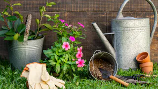 Штрафы за использование садовой техники в неположенное время