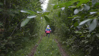 Целые сутки в лесу провели женщина и две девочки в Коми