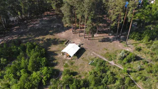 Противопожарный режим: за рязанскими лесами начали следить дроны